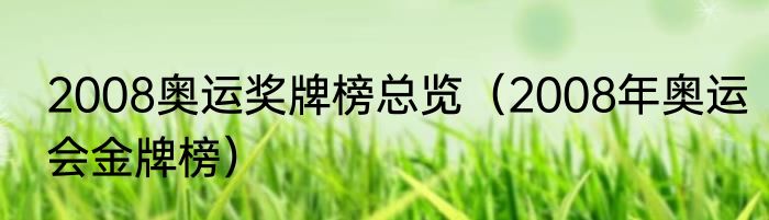 2008奥运奖牌榜总览（2008年奥运会金牌榜）
