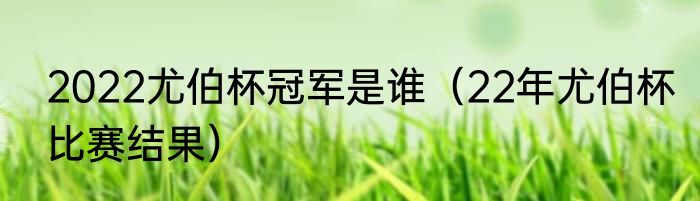 2022尤伯杯冠军是谁（22年尤伯杯比赛结果）