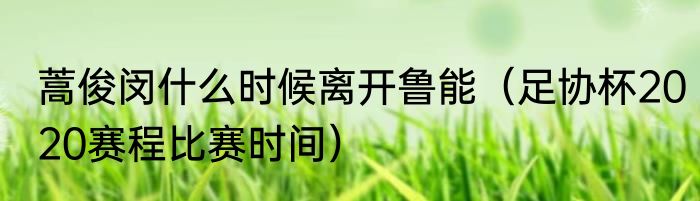 蒿俊闵什么时候离开鲁能（足协杯2020赛程比赛时间）