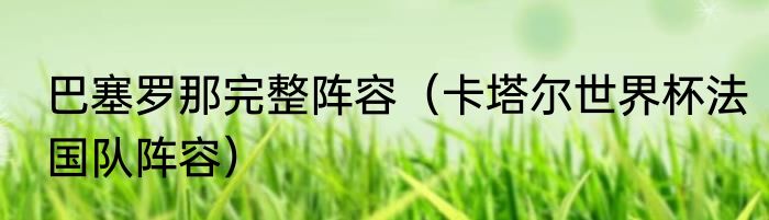 巴塞罗那完整阵容（卡塔尔世界杯法国队阵容）