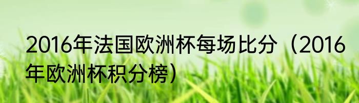 2016年法国欧洲杯每场比分（2016年欧洲杯积分榜）