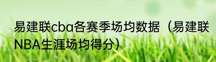 易建联cba各赛季场均数据（易建联NBA生涯场均得分）