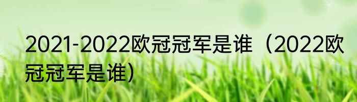 2021-2022欧冠冠军是谁(2022欧冠冠军是谁)