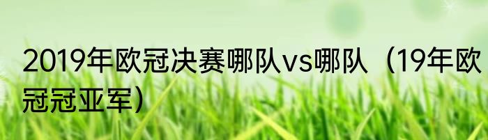 2019年欧冠决赛哪队vs哪队（19年欧冠冠亚军）