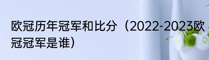 欧冠历年冠军和比分（2022-2023欧冠冠军是谁）