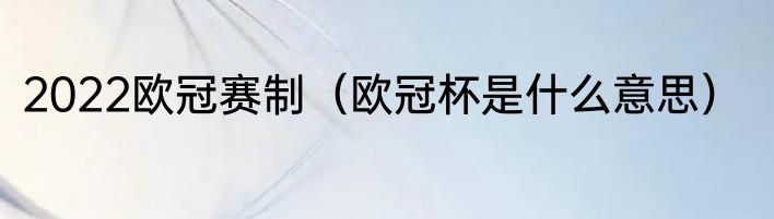 2022欧冠赛制（欧冠杯是什么意思）