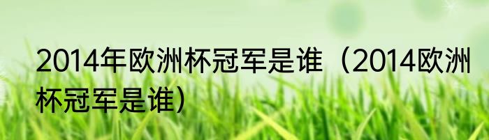 2014年欧洲杯冠军是谁（2014欧洲杯冠军是谁）
