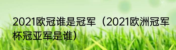 2021欧冠谁是冠军（2021欧洲冠军杯冠亚军是谁）