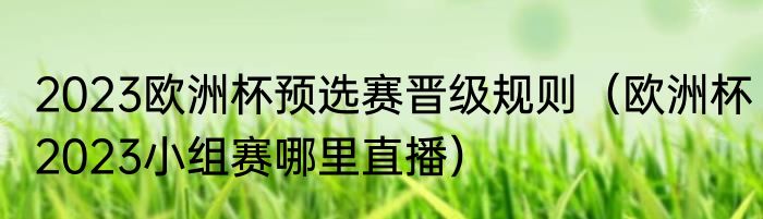 2023欧洲杯预选赛晋级规则（欧洲杯2023小组赛哪里直播）