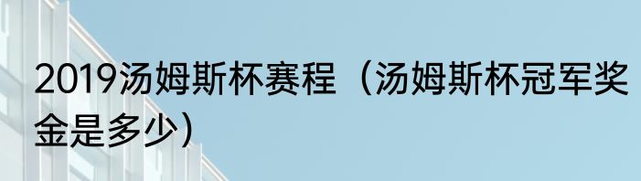 2019汤姆斯杯赛程（汤姆斯杯冠军奖金是多少）