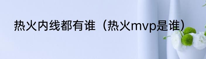 热火内线都有谁（热火mvp是谁）