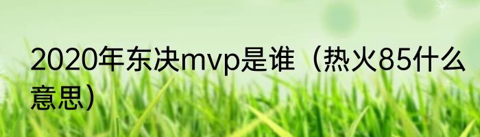 2020年东决mvp是谁（热火85什么意思）