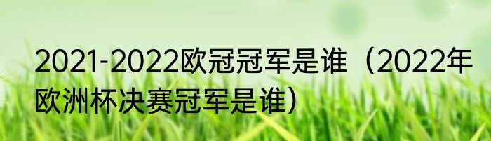 2021-2022欧冠冠军是谁（2022年欧洲杯决赛冠军是谁）
