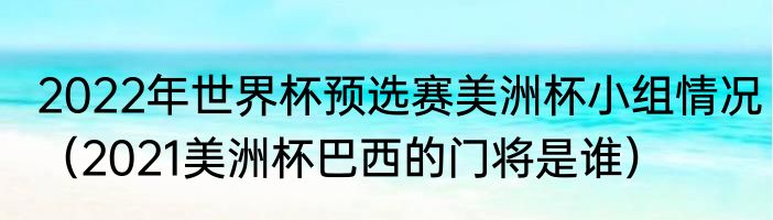 2022年世界杯预选赛美洲杯小组情况（2021美洲杯巴西的门将是谁）