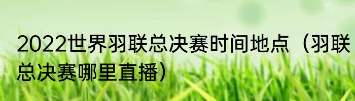 2022世界羽联总决赛时间地点（羽联总决赛哪里直播）