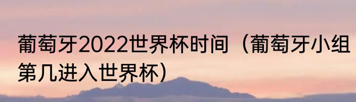 葡萄牙2022世界杯时间（葡萄牙小组第几进入世界杯）