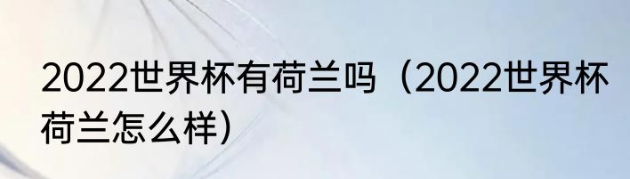 2022世界杯有荷兰吗（2022世界杯荷兰怎么样）