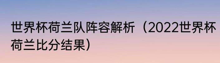 世界杯荷兰队阵容解析（2022世界杯荷兰比分结果）