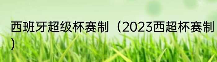 西班牙超级杯赛制（2023西超杯赛制）