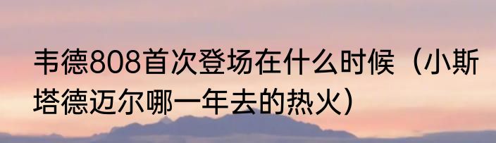 韦德808首次登场在什么时候（小斯塔德迈尔哪一年去的热火）