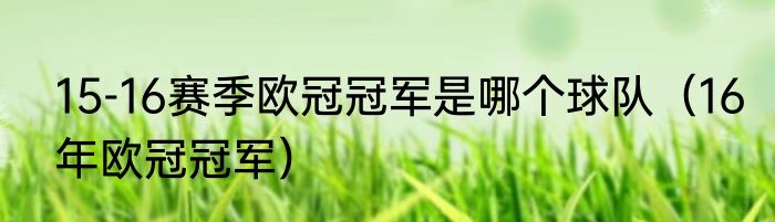 15-16赛季欧冠冠军是哪个球队（16年欧冠冠军）