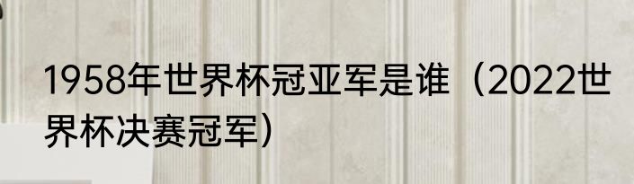 1958年世界杯冠亚军是谁（2022世界杯决赛冠军）