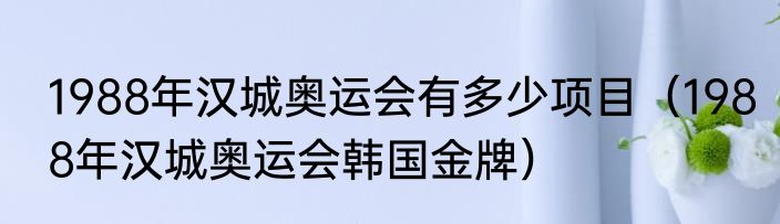 1988年汉城奥运会有多少项目（1988年汉城奥运会韩国金牌）