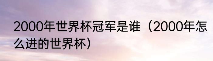 2000年世界杯冠军是谁（2000年怎么进的世界杯）