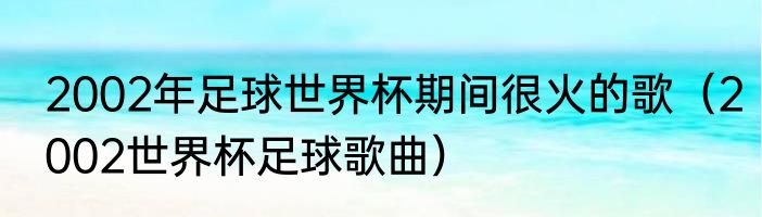 2002年足球世界杯期间很火的歌（2002世界杯足球歌曲）