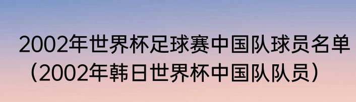 2002年世界杯足球赛中国队球员名单（2002年韩日世界杯中国队队员）