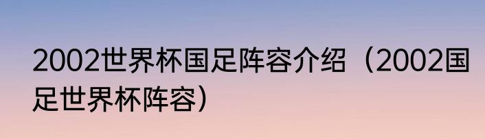 2002世界杯国足阵容介绍（2002国足世界杯阵容）