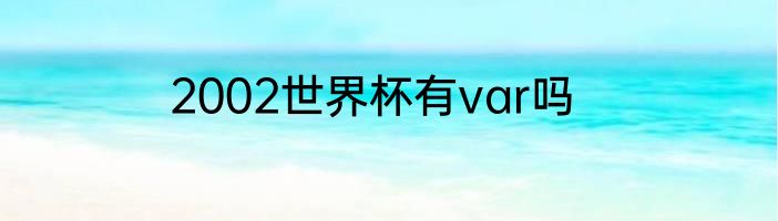 2002世界杯有var吗