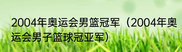 2004年奥运会男篮冠军（2004年奥运会男子篮球冠亚军）