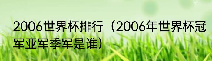 2006世界杯排行（2006年世界杯冠军亚军季军是谁）