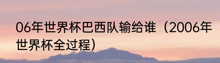 06年世界杯巴西队输给谁（2006年世界杯全过程）