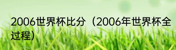2006世界杯比分（2006年世界杯全过程）