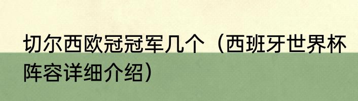切尔西欧冠冠军几个（西班牙世界杯阵容详细介绍）