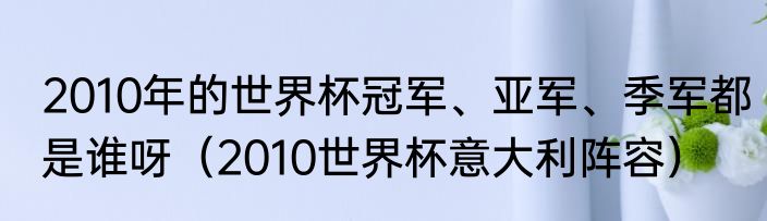2010年的世界杯冠军、亚军、季军都是谁呀（2010世界杯意大利阵容）