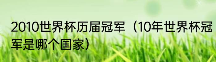 2010世界杯历届冠军（10年世界杯冠军是哪个国家）
