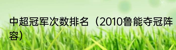 中超冠军次数排名（2010鲁能夺冠阵容）