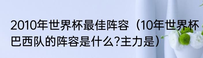 2010年世界杯最佳阵容（10年世界杯巴西队的阵容是什么?主力是）