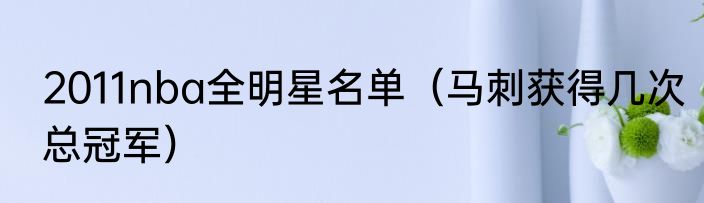 2011nba全明星名单（马刺获得几次总冠军）