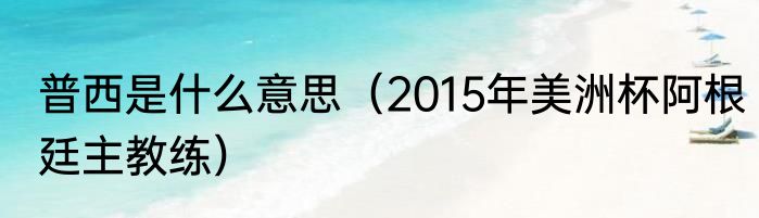普西是什么意思（2015年美洲杯阿根廷主教练）