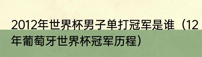 2012年世界杯男子单打冠军是谁（12年葡萄牙世界杯冠军历程）