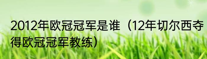 2012年欧冠冠军是谁（12年切尔西夺得欧冠冠军教练）