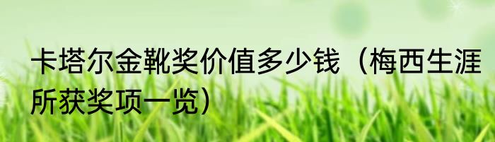 卡塔尔金靴奖价值多少钱（梅西生涯所获奖项一览）