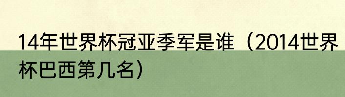 14年世界杯冠亚季军是谁（2014世界杯巴西第几名）