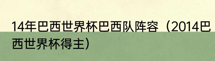 14年巴西世界杯巴西队阵容（2014巴西世界杯得主）