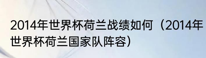 2014年世界杯荷兰战绩如何（2014年世界杯荷兰国家队阵容）