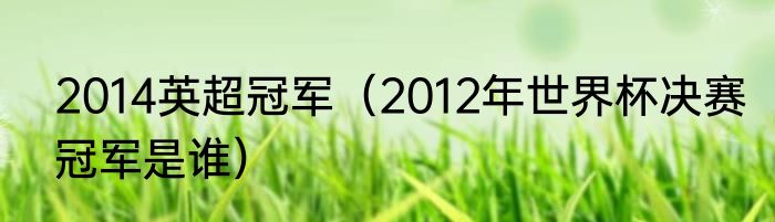 2014英超冠军（2012年世界杯决赛冠军是谁）
